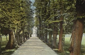 Collège Trinity, l