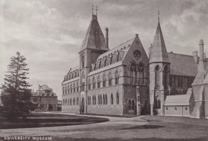 Musée Universitaire - English Photographer