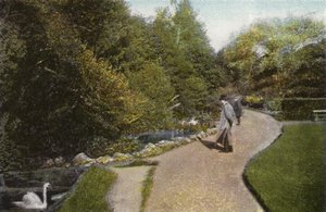 Vue dans le Parc de Ventnor - English Photographer