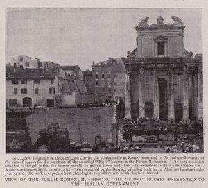 Vue du Forum Romanum, montrant les maisons Fiori présentées au gouvernement italien - English Photographer