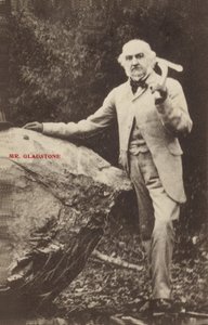 William Ewart Gladstone - English Photographer