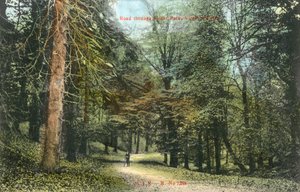 Windsor Great Park, Virginia Water (photo en couleur)