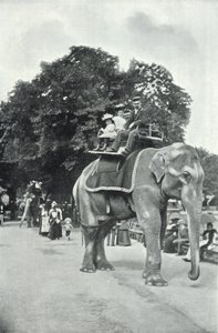 Jardins zoologiques, enfants montant sur les éléphants - English Photographer