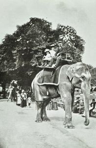 Jardins zoologiques, Regents Park : promenades à dos d