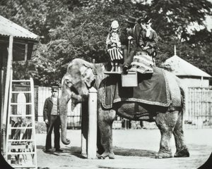 Jardins zoologiques, Regents Park : éléphant avec adultes et enfants en promenade, Zoo de Londres, 1894