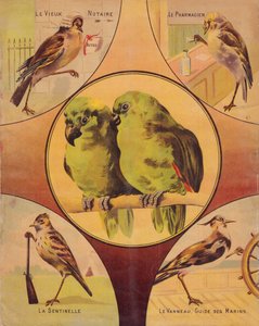 4ème de couverture : couple d