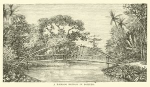 Pont en bambou à Bornéo