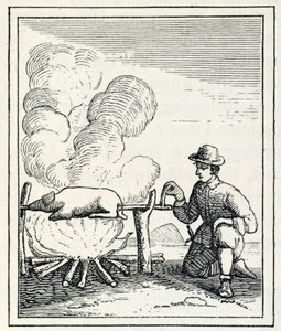Un boucan, tiré de 