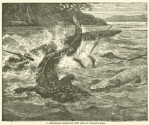 Un crocodile emportant un des hommes de Baker - English School