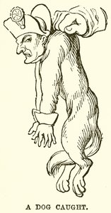 Un chien attrapé - English School