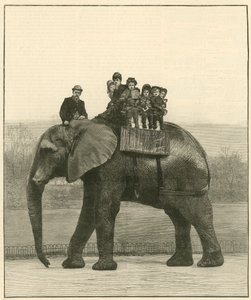 Un dernier tour sur Jumbo - English School