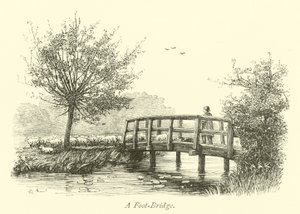 Passerelle - English School