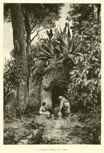 Une source de jardin à Capri - English School