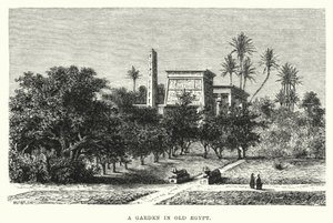 Un jardin dans l