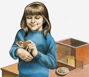 Une fille et son hamster