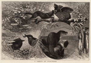 Un groupe de braconniers (gravure) - English School
