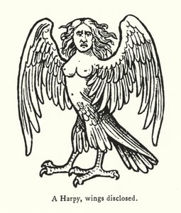 Une harpie, ailes déployées (gravure) - English School