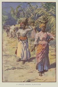 Plantation de bananes en Jamaïque (lithographie couleur)