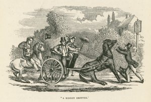 "Un compte-gouttes de rein" (gravure) - English School