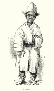 Un Lama (gravure) - English School