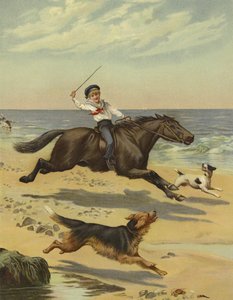 Galop du matin
