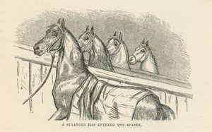 Un étranger est entré dans l