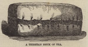 Une brique de thé tibétaine - English School
