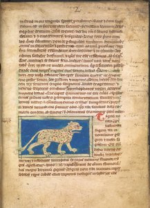 Un tigre, de Sloane 3544, f.2 - English School