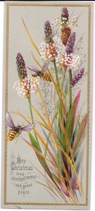 Carte de Noël victorienne de deux abeilles parmi de hautes herbes, vers 1880 - English School