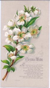 Carte de Noël victorienne avec un bouquet de roses de Noël et un vers, vers 1880 - English School