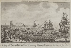 Vue de la pêche à la baleine et de la manière de tuer les ours près et sur la côte du Groenland - English School