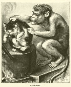 Un singe méchant - English School