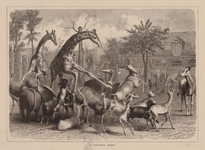 Un "Airing zoologique" (gravure) - English School