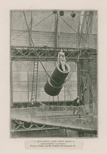 Une belle dame tirée d