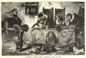 Un tribunal de justice du point de vue darwinien