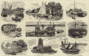 Une croisière sur les Norfolk Broads - English School