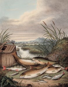 Une bonne journée de pêche - English School