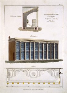 Une serre pour John Elliott à Pimlico, Londres, 1806 - English School