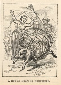 Un cochon en cerceaux dans le Hampshire