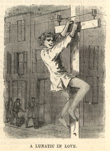 Un fou amoureux - English School