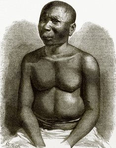 Un natif des îles Andaman - English School