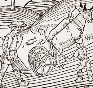 Une paire de bœufs attelés à une charrue, page de titre du Boke of Husbandry de John Fitzherbert, première publication 1523