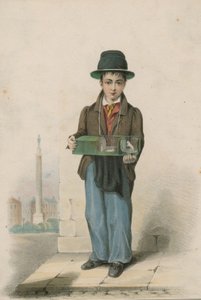 Un jeune garçon tenant une cage contenant des souris blanches - English School