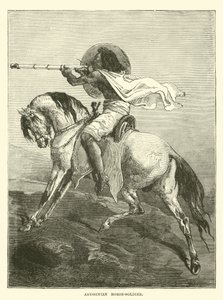 Cavalier abyssinien - English School