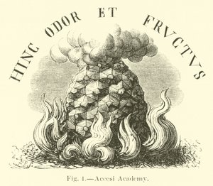 Académie Accesi