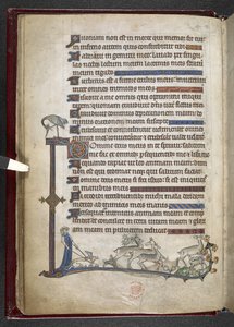 Psaume avec extension marginale formant une bordure partielle, c.1284-1316 - English School