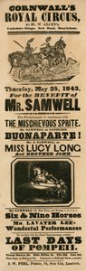 Annonce pour le Royal Circus de Cornwall, Yorkshire Stinge, New Road, Marylebone, Londres - English School
