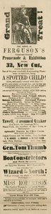Annonce pour la grande et orientale promenade et exposition de Ferguson, 32 New Cut, Lambeth, Londres - English School