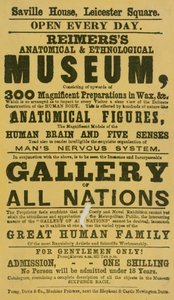 Annonce pour le musée anatomique et ethnologique de Reimers - English School