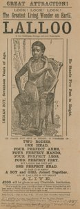 Publicité pour une apparition de Lalloo - English School
